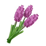 hyacinths image