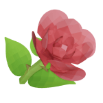 rose image