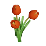tulips image